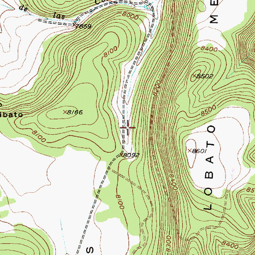 Topographic Map of Caada de la Corrales, NM