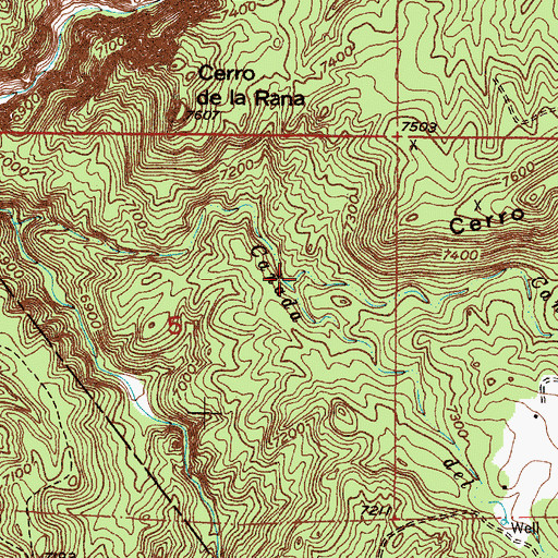 Topographic Map of Caada de la Marias, NM