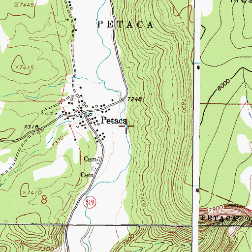 Topographic Map of Caada de los Apaches, NM