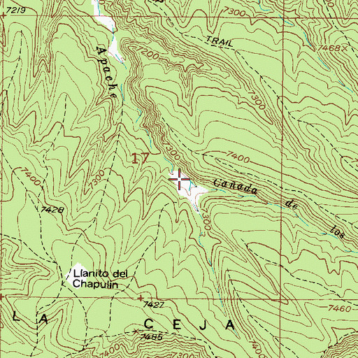 Topographic Map of Caada los Cedros, NM