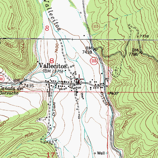 Topographic Map of Caada de Borracho, NM