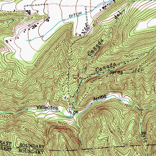 Topographic Map of Caada de Carrizal, NM