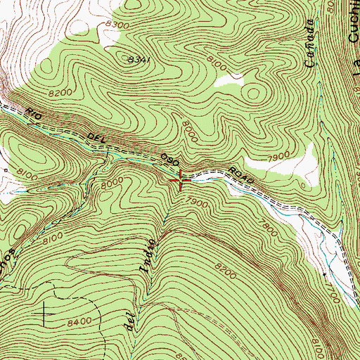 Topographic Map of Caada de Indio, NM