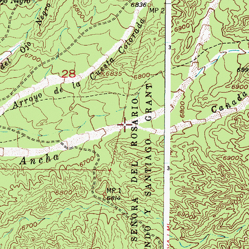 Topographic Map of Caada del Pino, NM