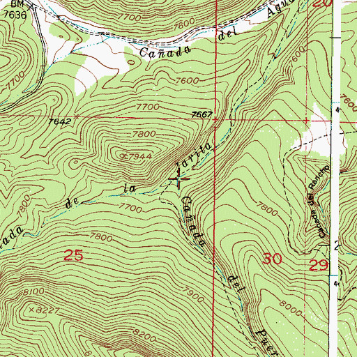 Topographic Map of Caada del Puertecito, NM