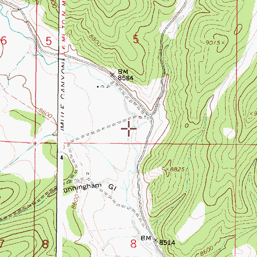 Topographic Map of Caada Biscara, NM