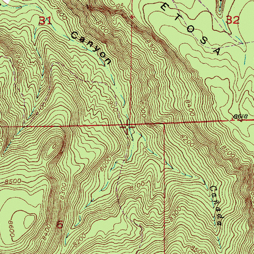 Topographic Map of Caada Bonita, NM