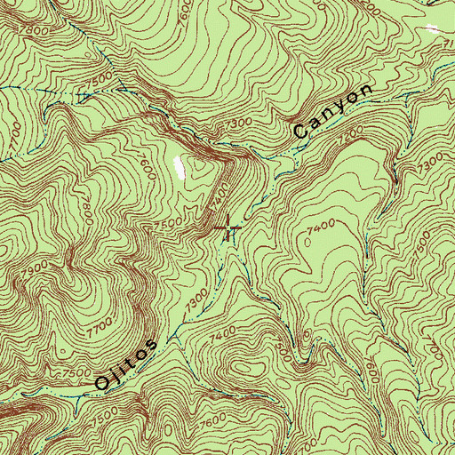 Topographic Map of Caada Camino, NM