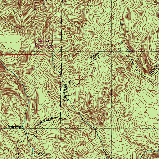 Topographic Map of Caada Capulin Trail, NM