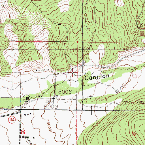 Topographic Map of Caada Fuertes, NM