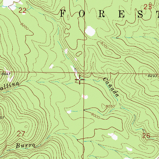 Topographic Map of Caada Gallina, NM