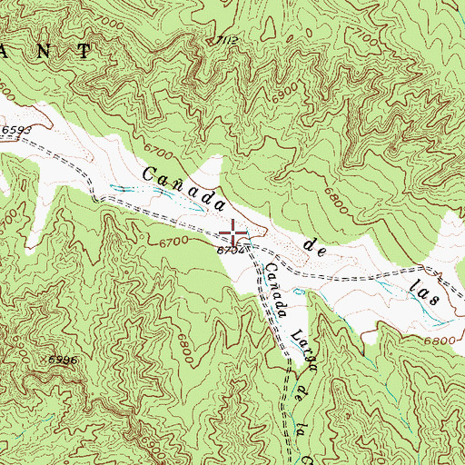 Topographic Map of Caada Larga de la Cueva, NM
