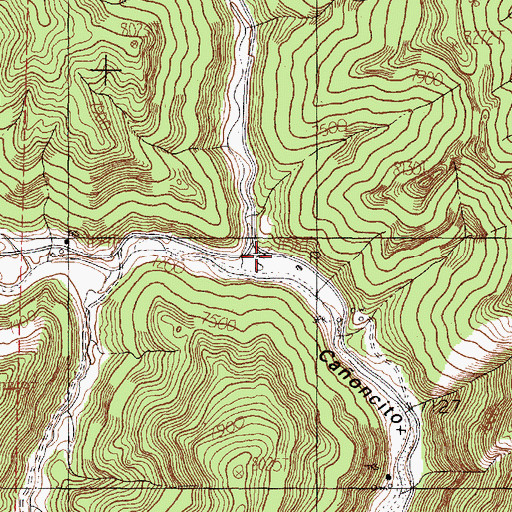 Topographic Map of Caada Ojitos, NM