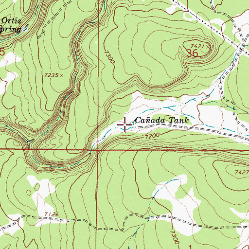 Topographic Map of Caada Tank, NM