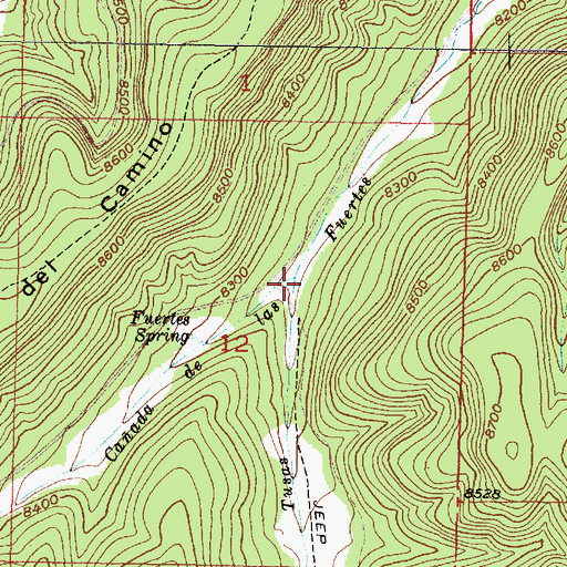 Topographic Map of Caada Tusas, NM