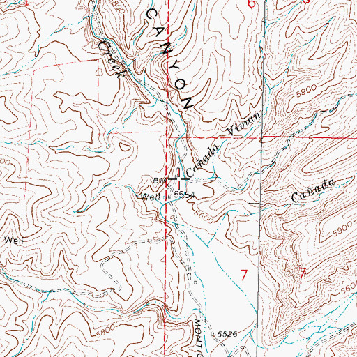 Topographic Map of Caada Vivian, NM