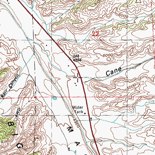 Topographic Map of Cane Spring Canyon, NM