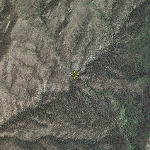 Aerial/Satellite Image of Cañon de la Mina, NM
