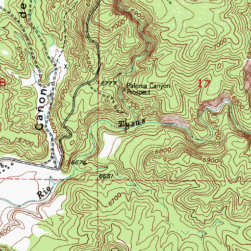 Topographic Map of Caon de la Paloma, NM