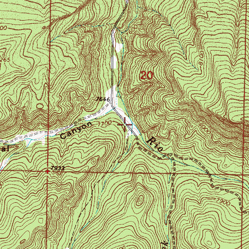 Topographic Map of Caon de la Vegitas, NM