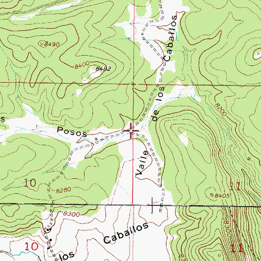 Topographic Map of Caon de los Posos, NM