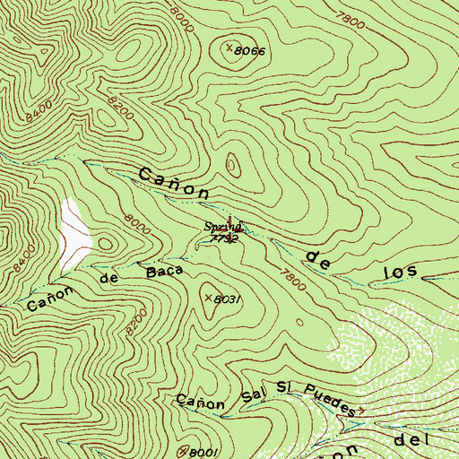 Topographic Map of Caon de Baca, NM