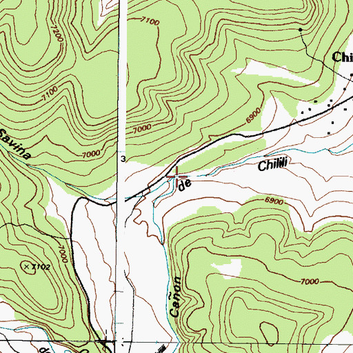 Topographic Map of Caon de Savina, NM