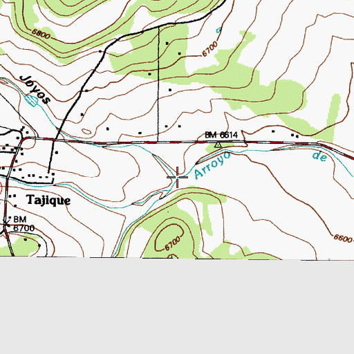 Topographic Map of Caon de Tajique, NM