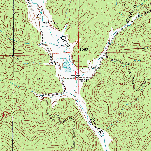 Topographic Map of Caon de Tijeras, NM