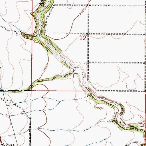 Topographic Map of Caon de Tio Gordito, NM