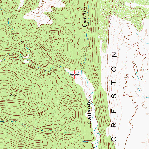 Topographic Map of Caon del Agua, NM