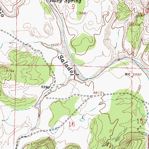 Topographic Map of Caon del Alamito, NM