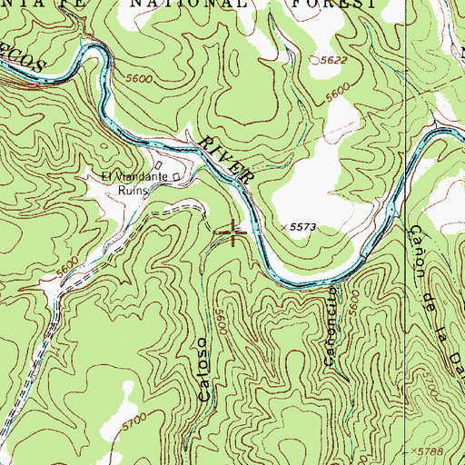 Topographic Map of Caon de Caloso, NM