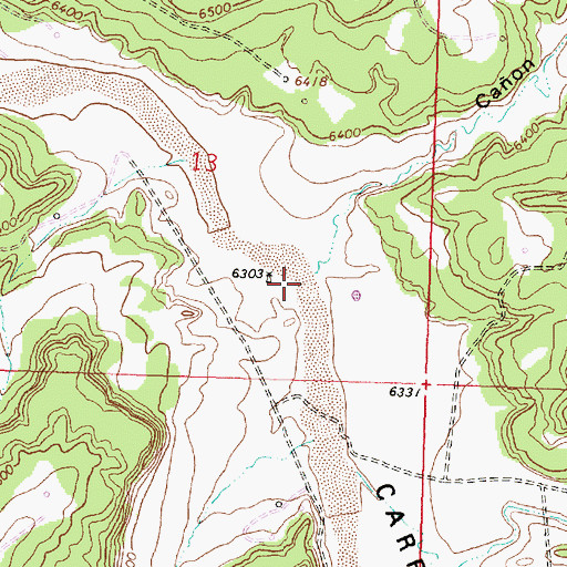 Topographic Map of Caon de Camino, NM