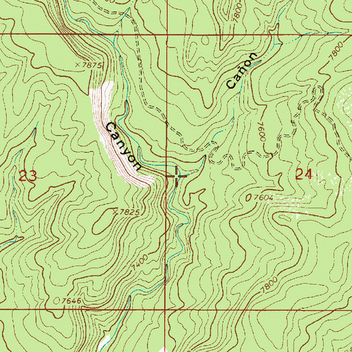 Topographic Map of Caon de Cuervito, NM
