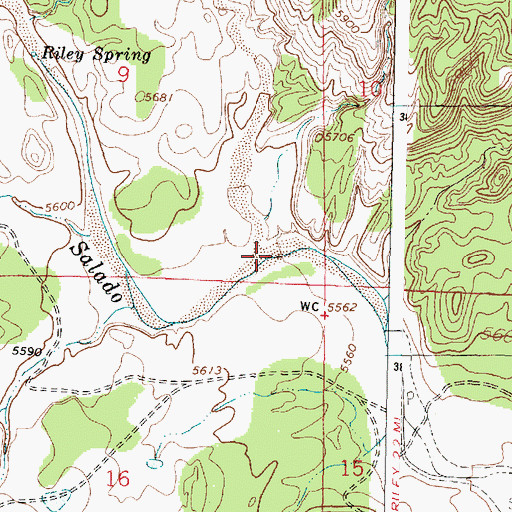 Topographic Map of Caon de Ojo, NM