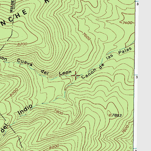 Topographic Map of Caon del Ojo del Indio, NM
