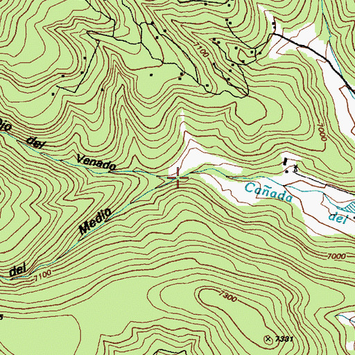 Topographic Map of Caon del Ojo del Venado, NM