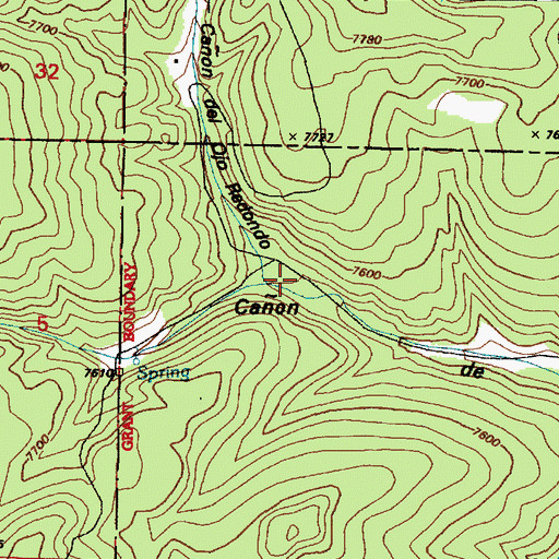 Topographic Map of Caon del Ojo Redondo, NM