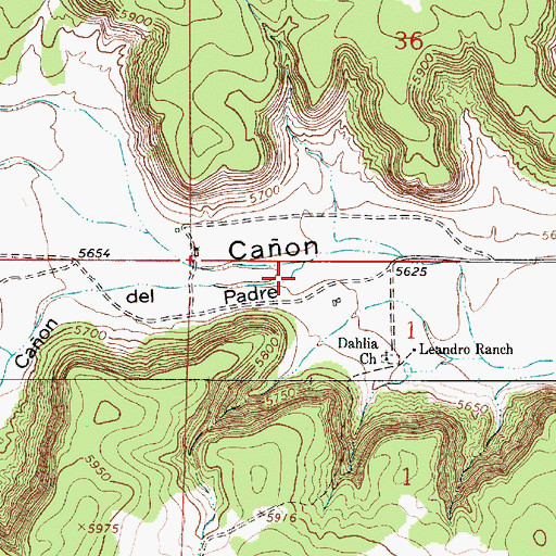 Topographic Map of Caon de Padre, NM