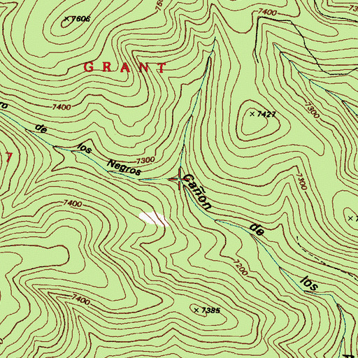 Topographic Map of Caon de Rajadero de los Negros, NM