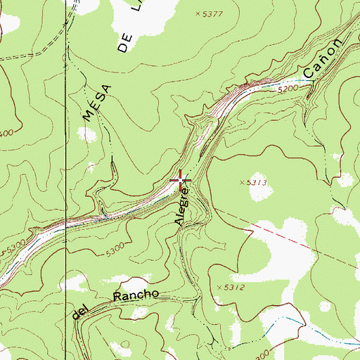 Topographic Map of Caon de Rancho Alegre, NM