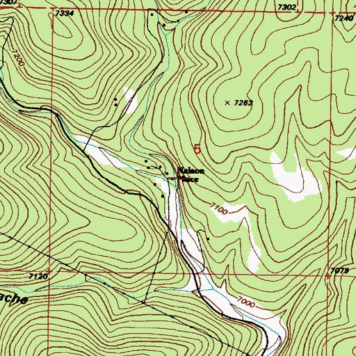 Topographic Map of Caon de Troncon Negro, NM