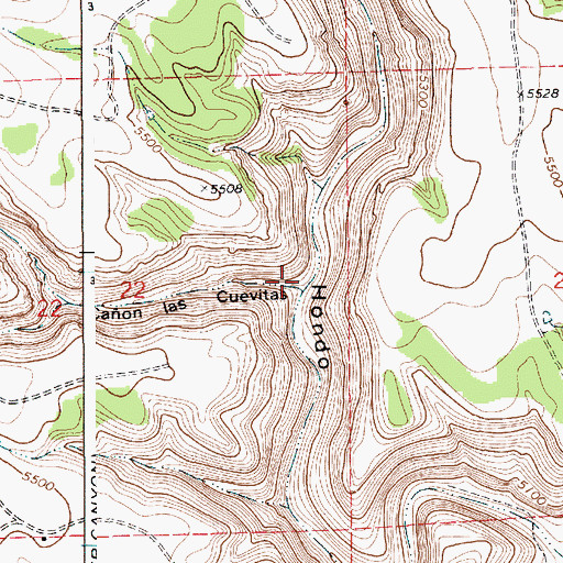 Topographic Map of Caon las Cuevitas, NM