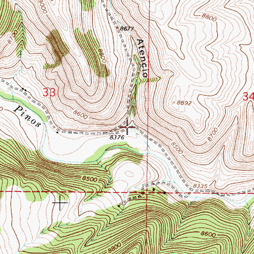 Topographic Map of Caon Atencio, NM
