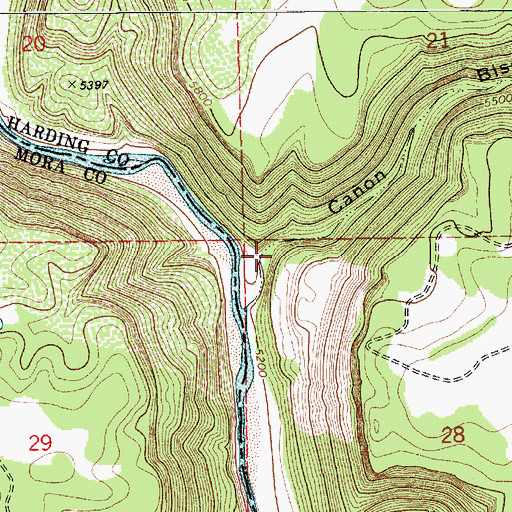 Topographic Map of Caon Biscante, NM
