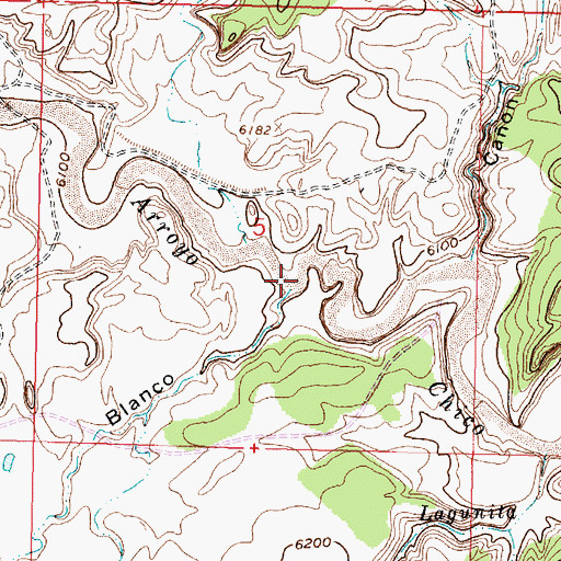 Topographic Map of Caon Blanco, NM