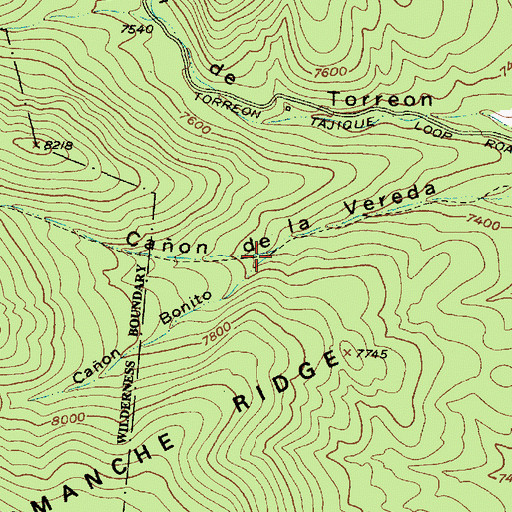 Topographic Map of Caon Bonito, NM