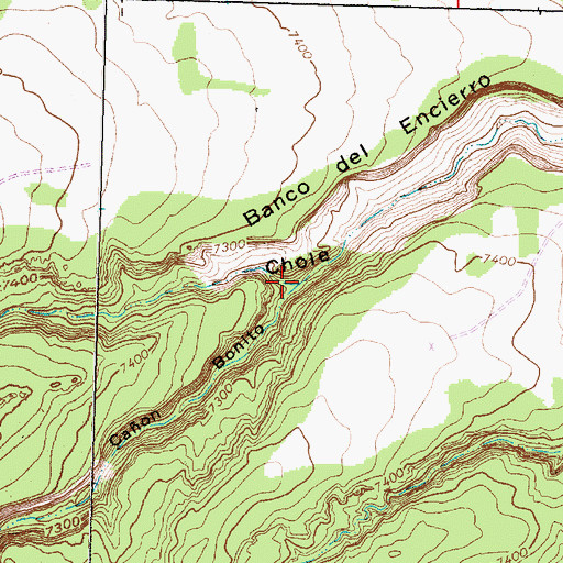 Topographic Map of Caon Bonito, NM
