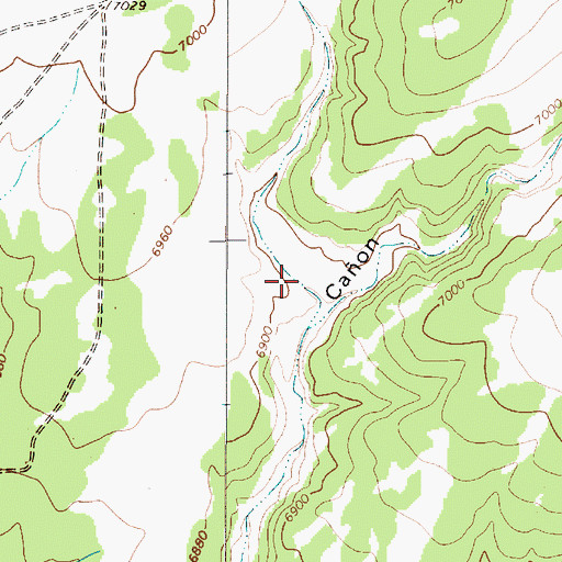 Topographic Map of Caon Carrizaloso, NM
